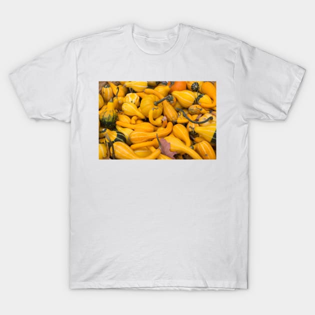 gourds T-Shirt by sma1050